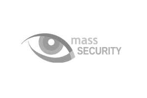 mass security logo